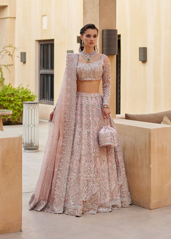 Sasha - Kanwal Malik