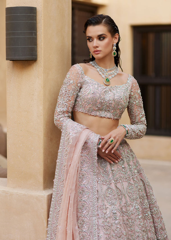 Sasha - Kanwal Malik
