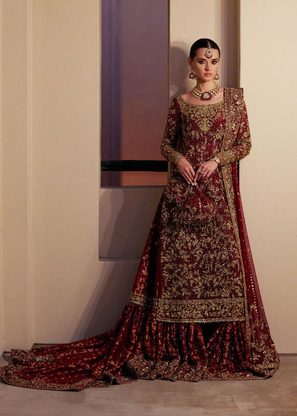 Zinia - Kanwal Malik