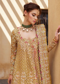 Zarifa - Kanwal Malik