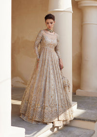 Novalle - Kanwal Malik