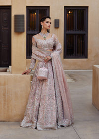 Sasha - Kanwal Malik