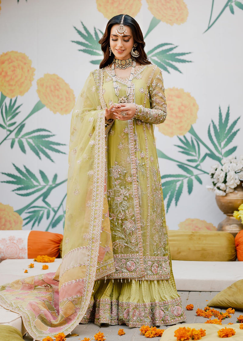 HAIYA - Kanwal Malik