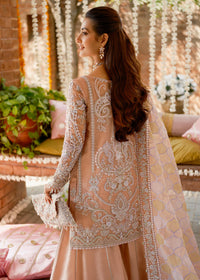 ANCHAL - Kanwal Malik