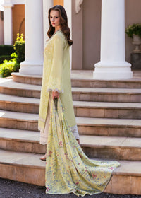 Celine - Kanwal Malik