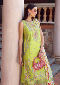 Erna - Kanwal Malik