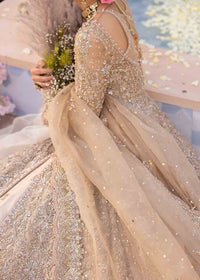 Mirani - Kanwal Malik