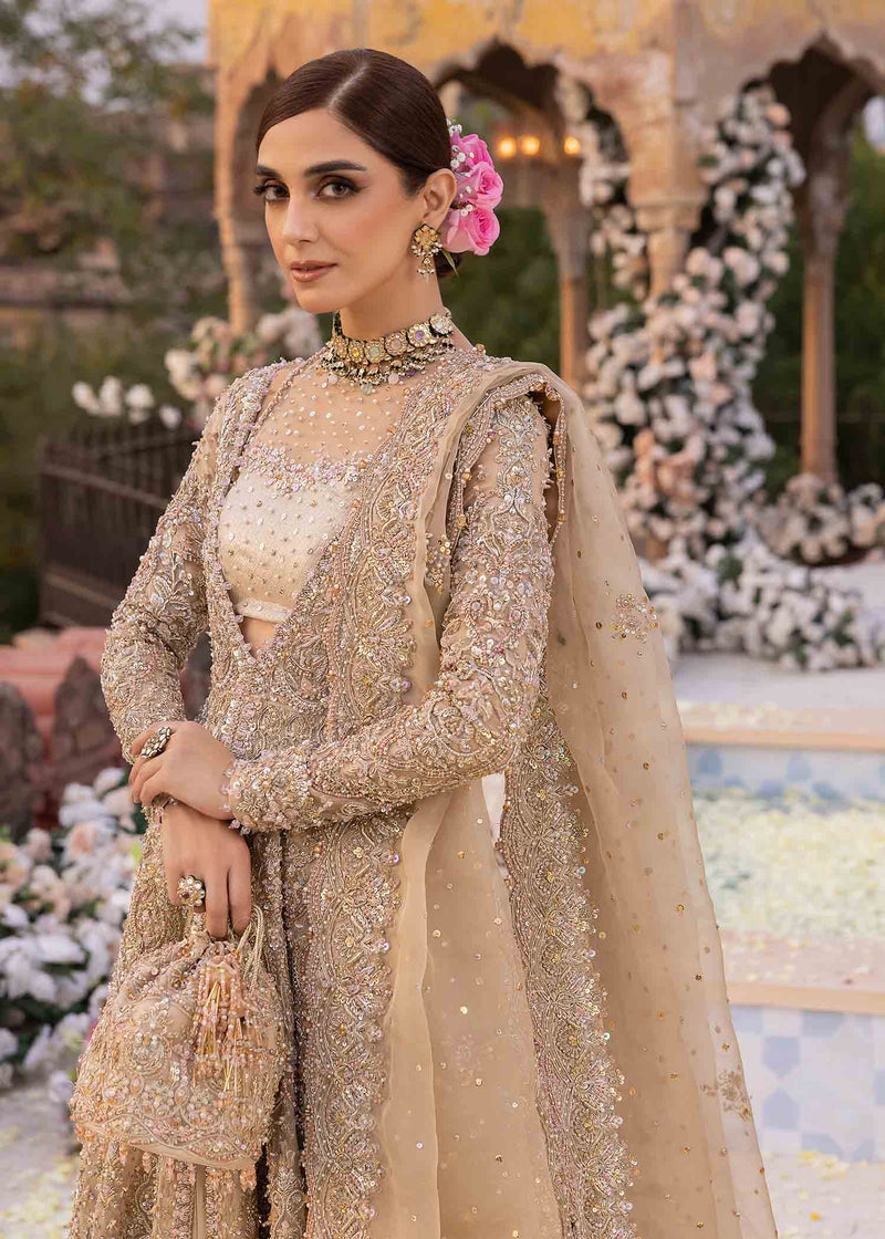 Mirani - Kanwal Malik