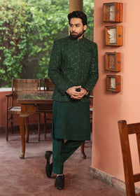 Meer - Kanwal Malik