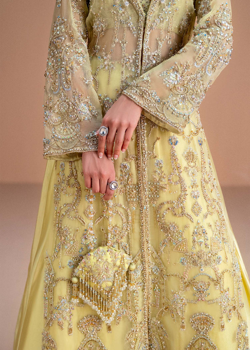 Meira - Kanwal Malik