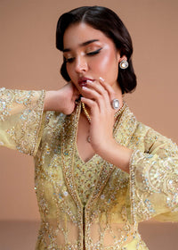 Meira - Kanwal Malik