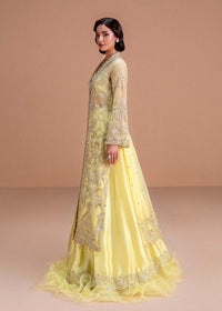 Meira - Kanwal Malik