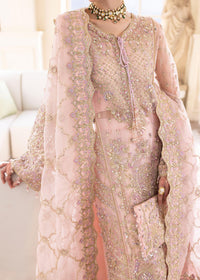 Orchid - Kanwal Malik