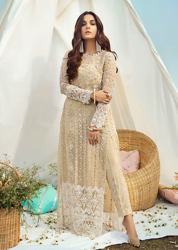 Orchid Regalia - Kanwal Malik